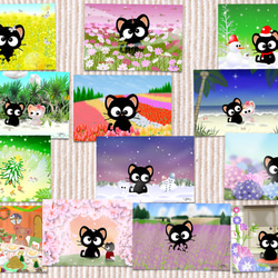 黒猫りっちー君ポストカードセット（16枚入り） 2枚目の画像