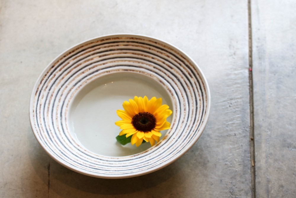 伊豆土リムストライプの大鉢（白釉） 14,454円