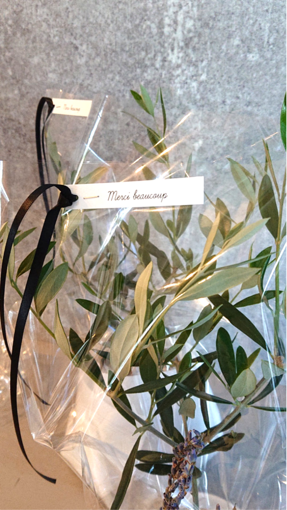 ●再販●ギフト プレゼント ”オリーブの木　鉢カバー付き（オランダ製）”　観葉植物　グレー 4枚目の画像