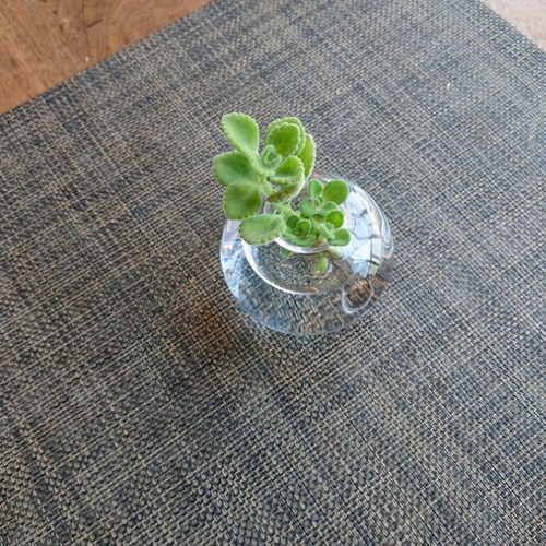 ○数量限定○ 虫除け ”アロマティカス