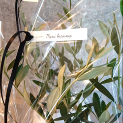●再販●ギフト プレゼント ”オリーブの木　鉢カバー付き（オランダ製/限定色ダークグレー）”　観葉植物　グレー 4枚目の画像