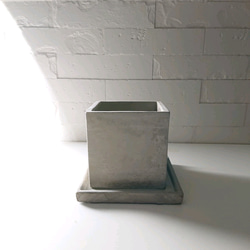 ●数量限定●ギフト　プレゼント　希少　”バニラのツル Vanilla　スクエアアッシュグレー鉢＆受け皿付き”　観葉植物　 8枚目の画像