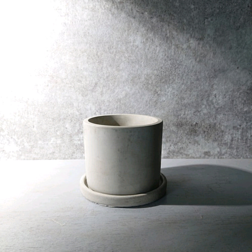 ○数量限定○新作○ミドリサンゴ ”ミルクブッシュ アッシュグレー