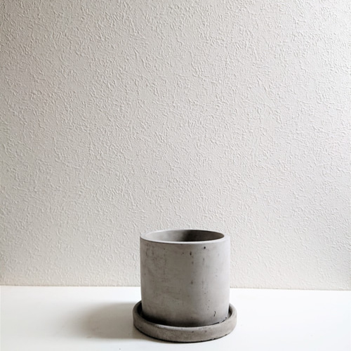 ○数量限定○新作○ミドリサンゴ ”ミルクブッシュ アッシュグレー