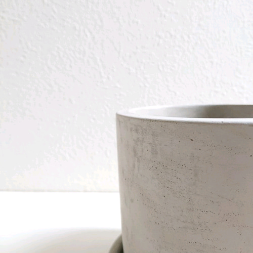 ○数量限定○新作○ミドリサンゴ ”ミルクブッシュ アッシュグレー