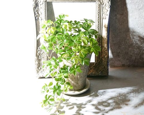 1_dc8f3f9b499c243a1974c737380a