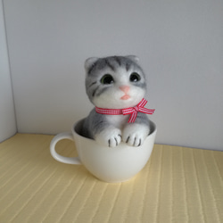 子猫 in cup 2枚目の画像