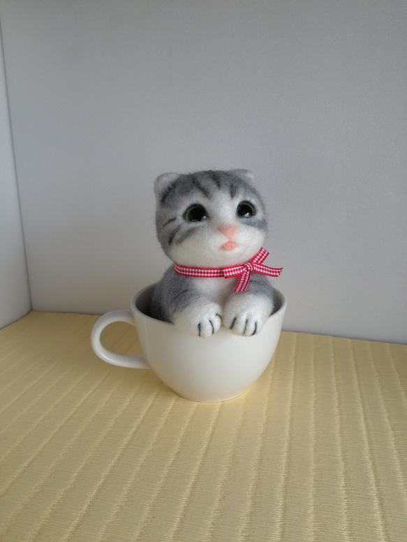 子猫 in cup 2枚目の画像