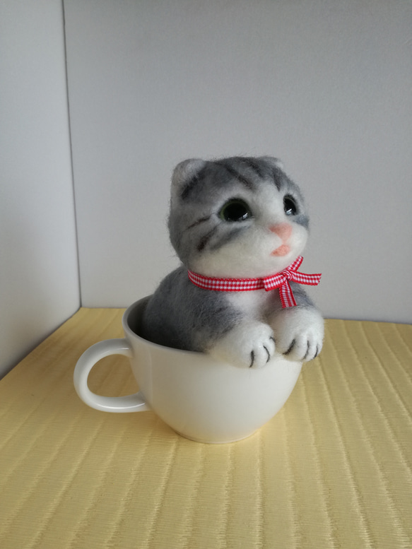 子猫 in cup 3枚目の画像
