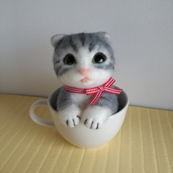 子猫 in cup 4枚目の画像