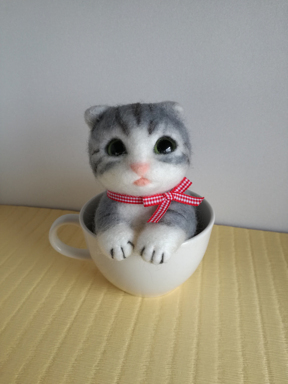 子猫 in cup 4枚目の画像
