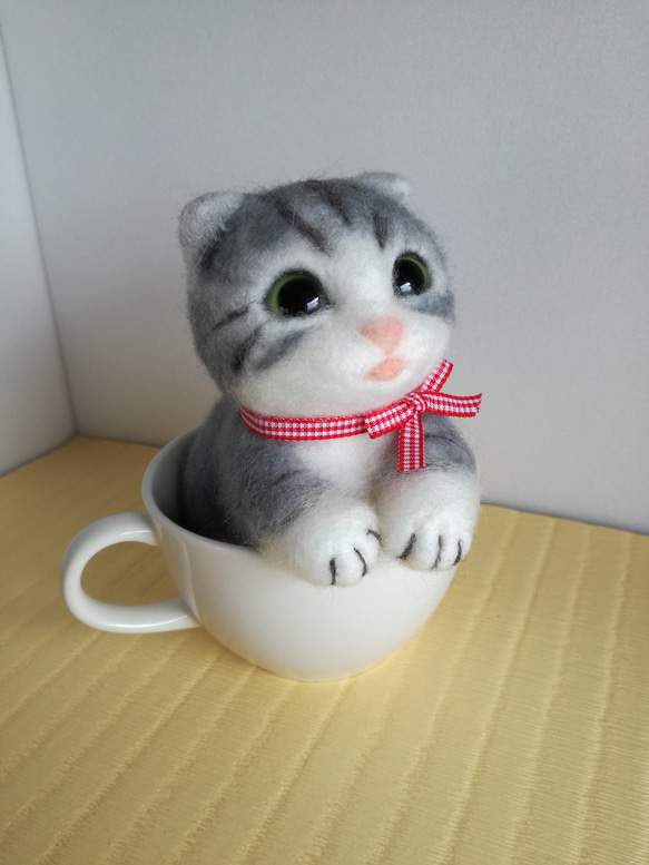 子猫 in cup 5枚目の画像