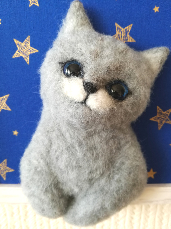 『星に願いを』な猫 2枚目の画像