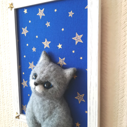 『星に願いを』な猫 3枚目の画像