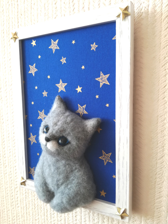 『星に願いを』な猫 3枚目の画像
