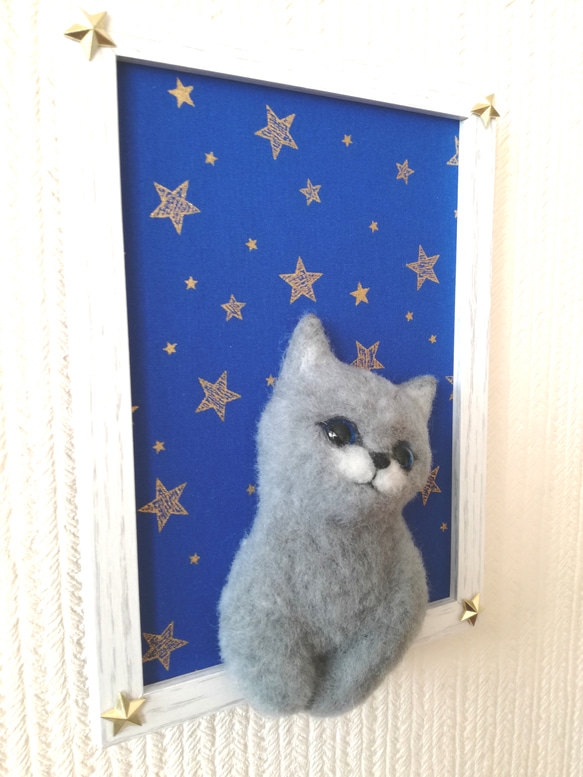 『星に願いを』な猫 4枚目の画像