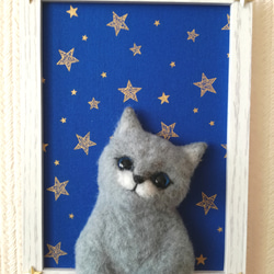 『星に願いを』な猫 5枚目の画像