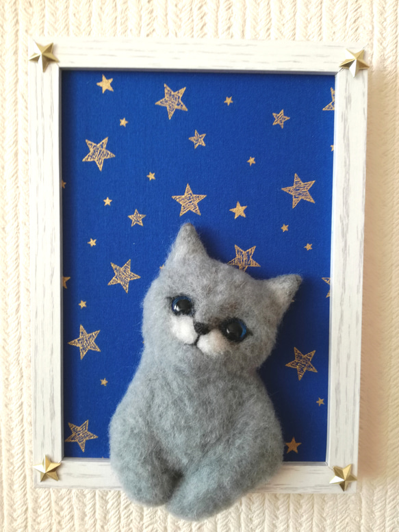 『星に願いを』な猫 5枚目の画像