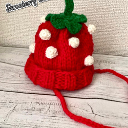 犬用帽子(Strawberry knit hat) 1枚目の画像