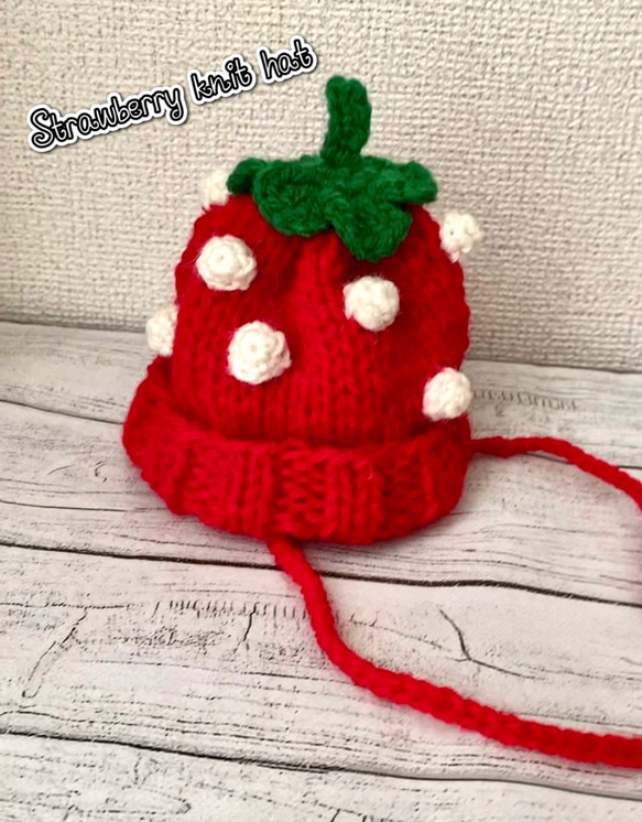 犬用帽子(Strawberry knit hat) 1枚目の画像