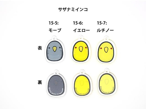 【在庫限り終売】サザナミインコ：記名ができるアクリルキーホルダー（2020年版） 3枚目の画像