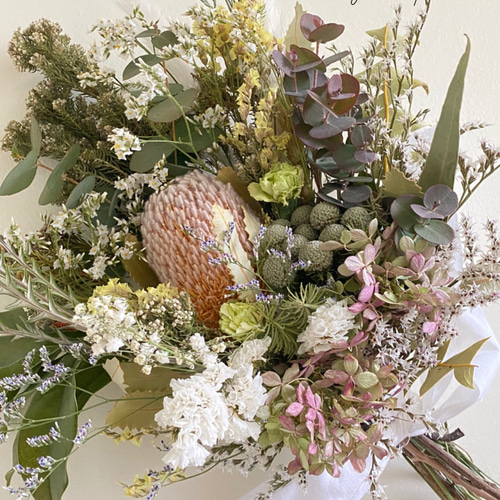 ドライフラワースワッグ  バンクシア　ネイティブフラワー　店舗ディスプレイ ドライフラワースワッグ バンクシア ネイティブフラワー 店舗