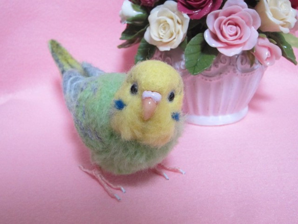 羊毛フェルト リアルで可愛いセキセイインコ オパーリン ライト 