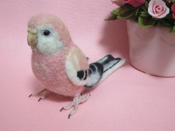 羊毛フェルト　リアルで可愛いアキクサインコ♪　　鳥　　ゆこりん工房 1枚目の画像