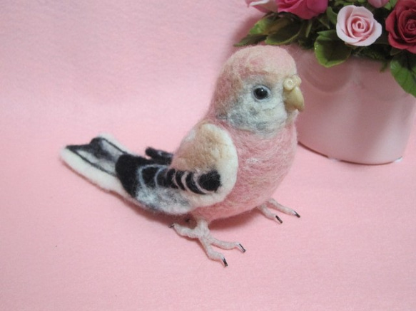 羊毛フェルト　リアルで可愛いアキクサインコ♪　　鳥　　ゆこりん工房 3枚目の画像