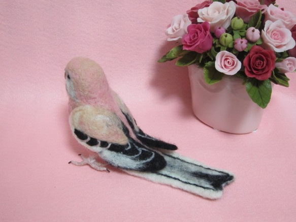 羊毛フェルト　リアルで可愛いアキクサインコ♪　　鳥　　ゆこりん工房 5枚目の画像