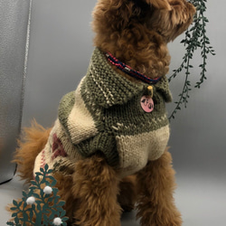 ワンコ　クリスマスカラー　カウチン風手編みセーター　 1枚目の画像