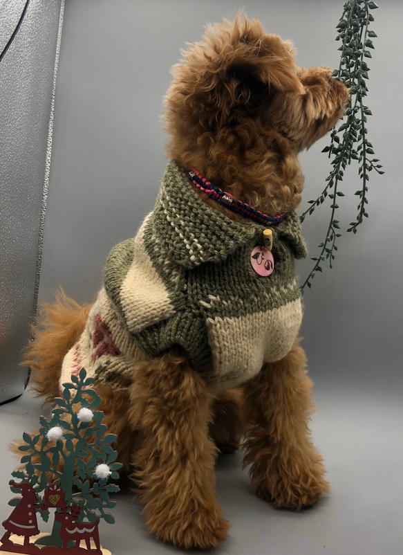 ワンコ　クリスマスカラー　カウチン風手編みセーター　 1枚目の画像