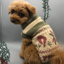 ワンコ　クリスマスカラー　カウチン風手編みセーター　 2枚目の画像