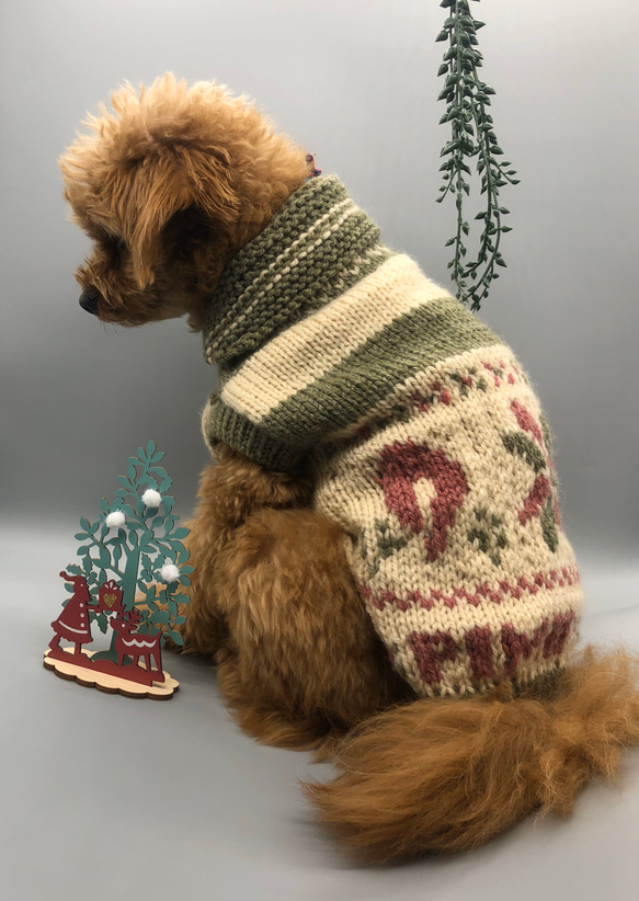 ワンコ　クリスマスカラー　カウチン風手編みセーター　 3枚目の画像