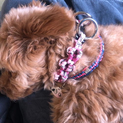 パラコード 8の字形ハーネス、リード セット 中 リード・首輪 PiMo