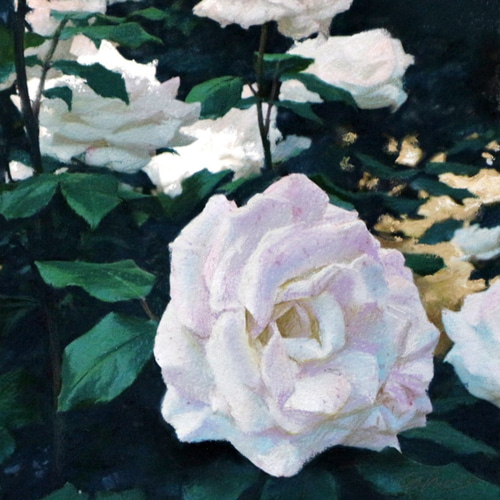 一点もの】【原画】【花の絵】「白いバラ」 パステル画 絵画（額付き