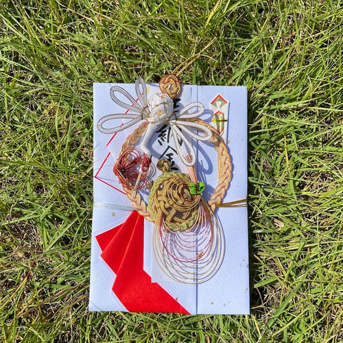 金封シリーズ ] モダン鶴亀 [ 結納 / 鶴 / 亀 / 梅 / 水引 ] ご祝儀袋