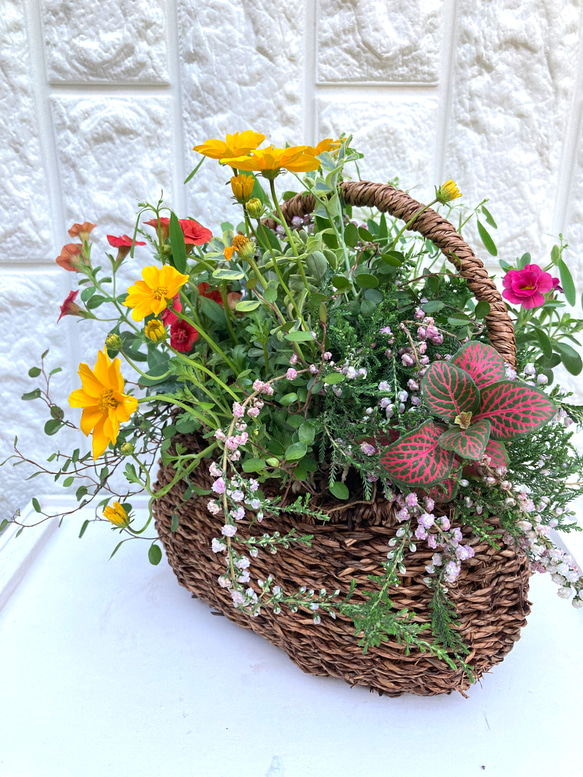 [母の日]季節のフラワー　寄せ植え　プランツギャザリング 3枚目の画像