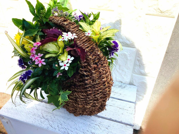 [受注制作]寄せ植えフラワーお花のプレゼント　花かご 6枚目の画像