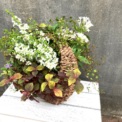 [受注制作]寄せ植えフラワーお花のプレゼント　花かご 8枚目の画像