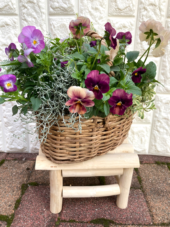 (再販) お花の寄せ植え 3枚目の画像