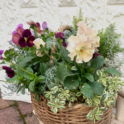 (再販) お花の寄せ植え 2枚目の画像