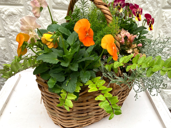 (再販) お花の寄せ植え 4枚目の画像