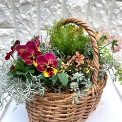 (再販) お花の寄せ植え 6枚目の画像