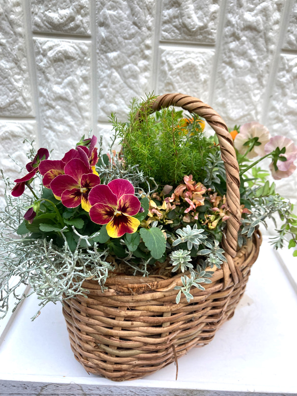 (再販) お花の寄せ植え 6枚目の画像