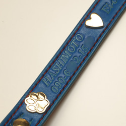 ターコイズブルーの肉球チャーム首輪（中・小型犬用） 4枚目の画像