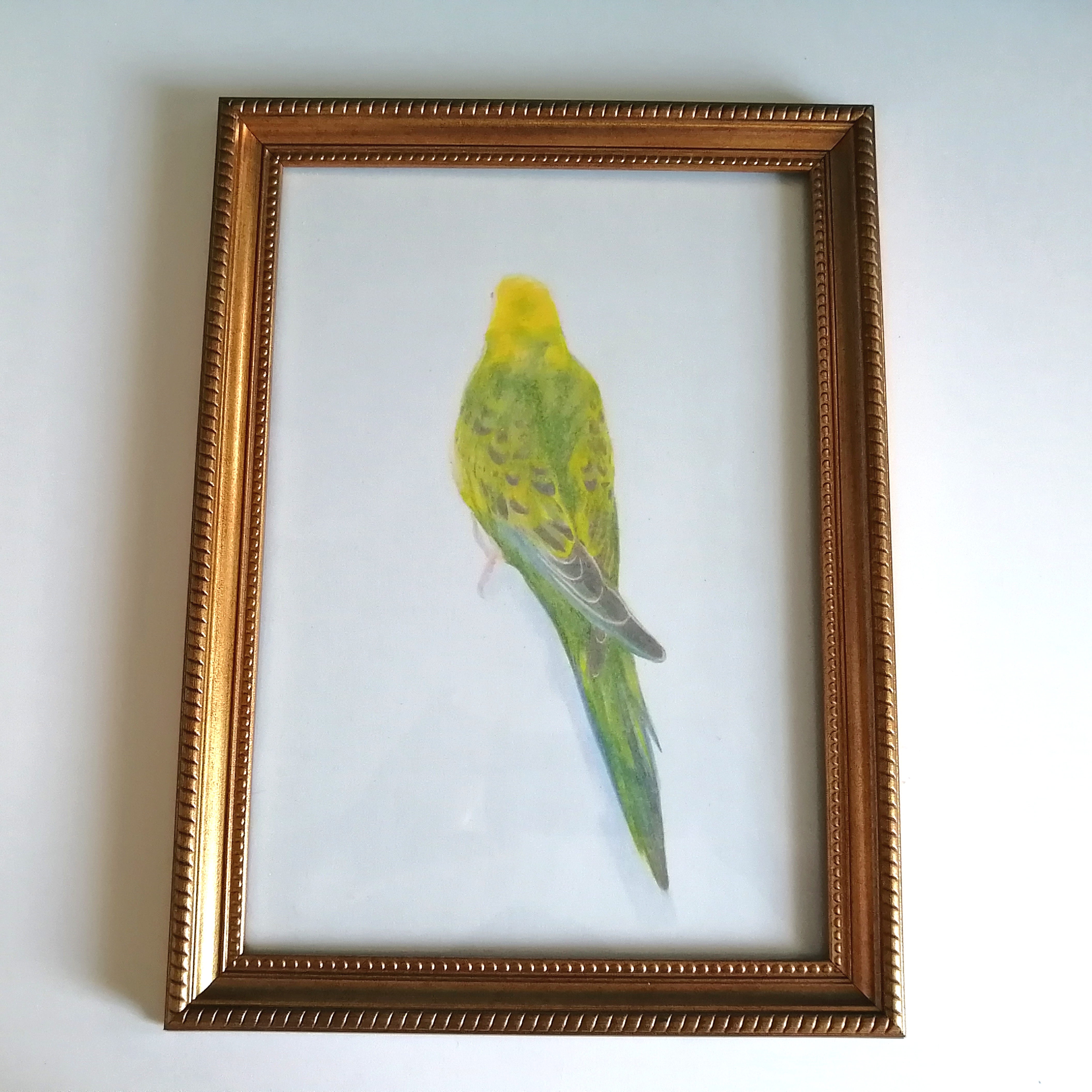 セキセイインコの似顔絵イラスト制作します【A4サイズ】