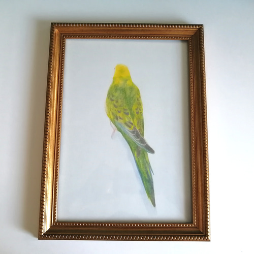 インコ 絵画 手描き 大型 額縁 楽天市場】インコ（絵画｜アート・美術品・骨董品・民芸品
