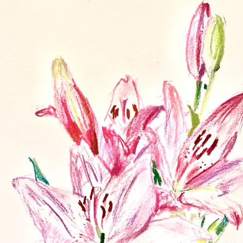 ユリ　百合　絵画 特別価格】絵画 油絵 油彩 百合 白百合 ユリ 静物 キャンバス SM