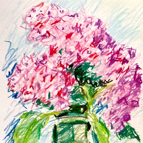 『ピンクの紫陽花』 4枚目の画像